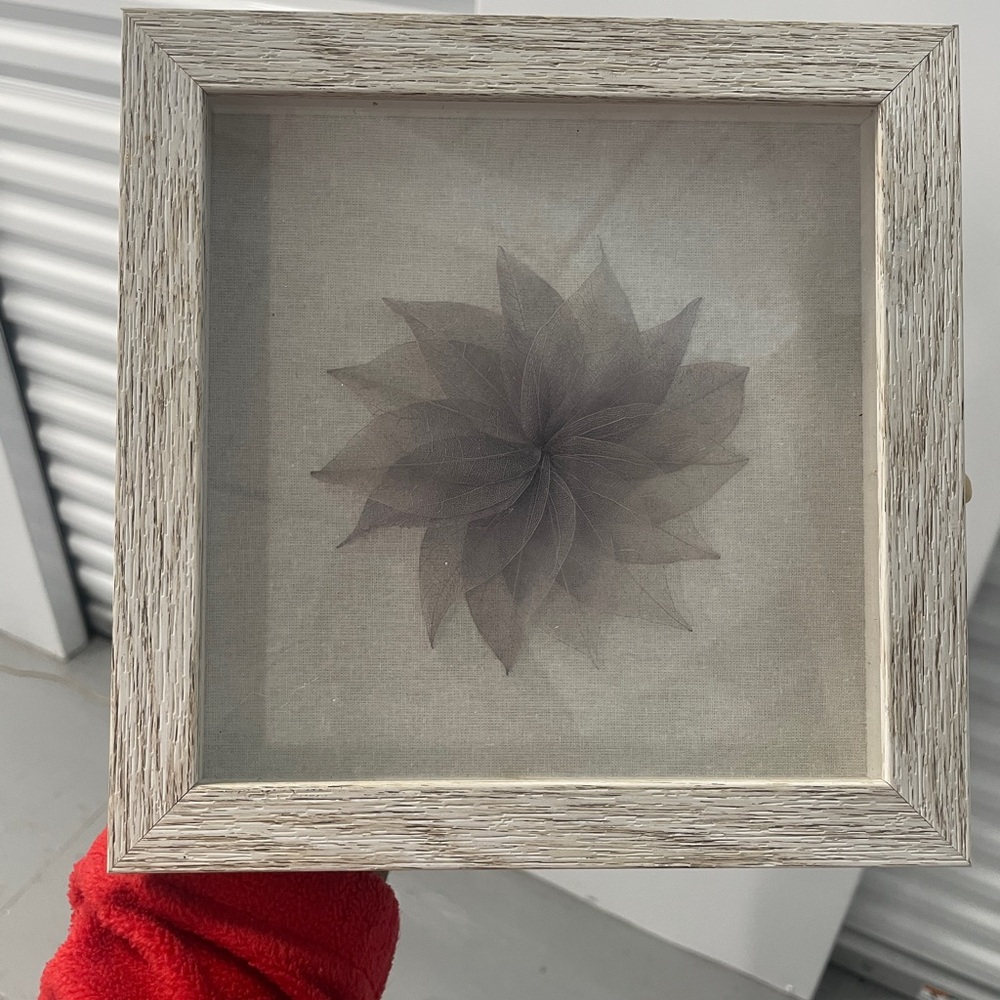 Shadow box Flower Art Frame